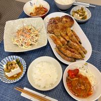 レンコンナスズッキーニの肉巻き、冷奴、　　煮込みハンバーグ、ごぼうサラダ